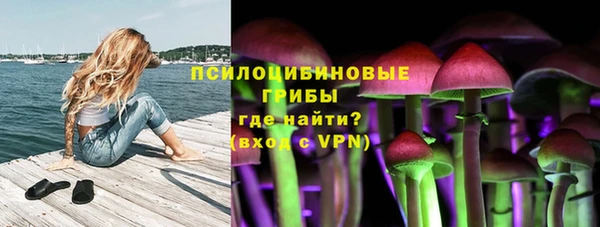 эйфоретик Дмитровск