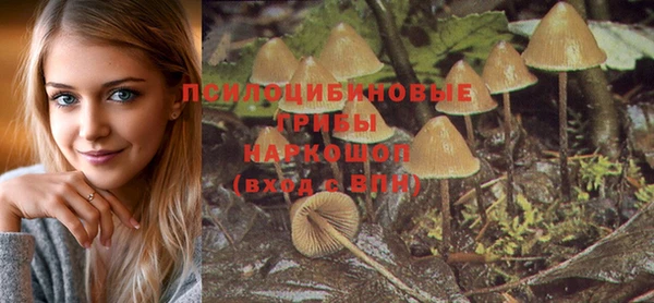 ECSTASY Дмитров