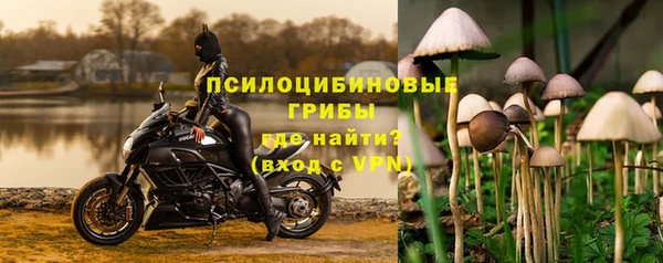 ECSTASY Дмитров